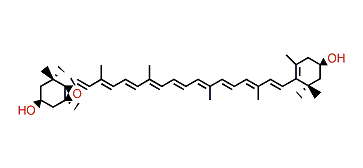 (3S,3'R,5R,6S)-5,6-Epoxy-5,6-dihydro-beta,beta-carotene-3,3'-diol